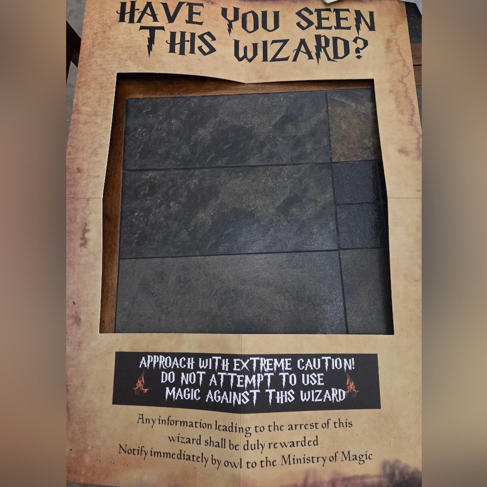 🍍Harry Potter Wanted Poster Frame